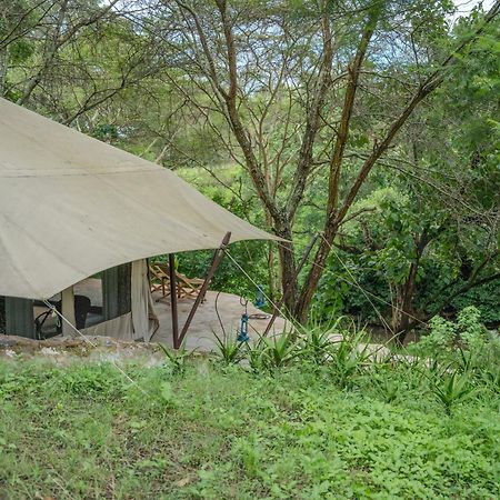 Dolly Farm & River Camp, Luxury Tents Usa River Ngoại thất bức ảnh