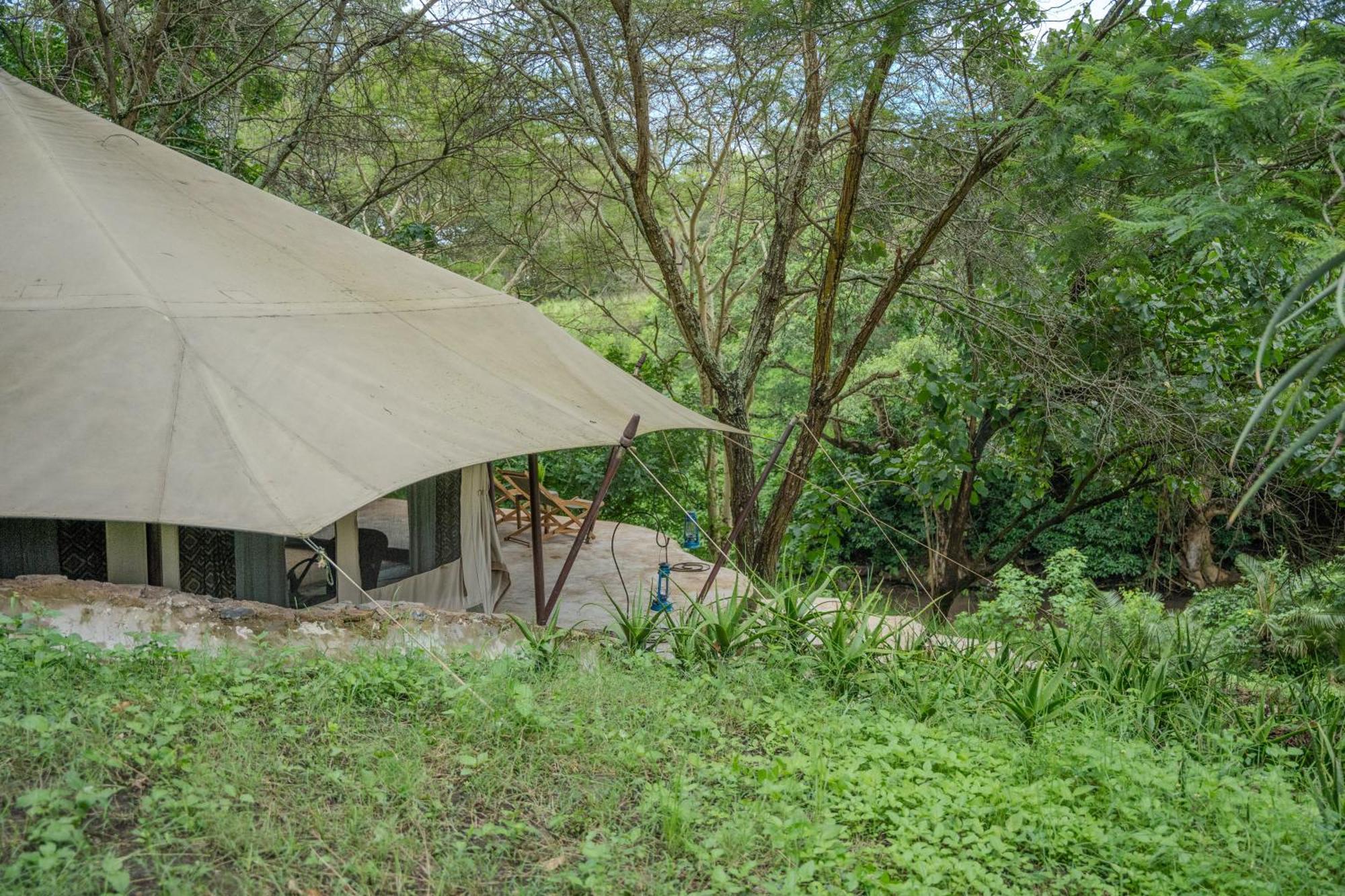 Dolly Farm & River Camp, Luxury Tents Usa River Ngoại thất bức ảnh