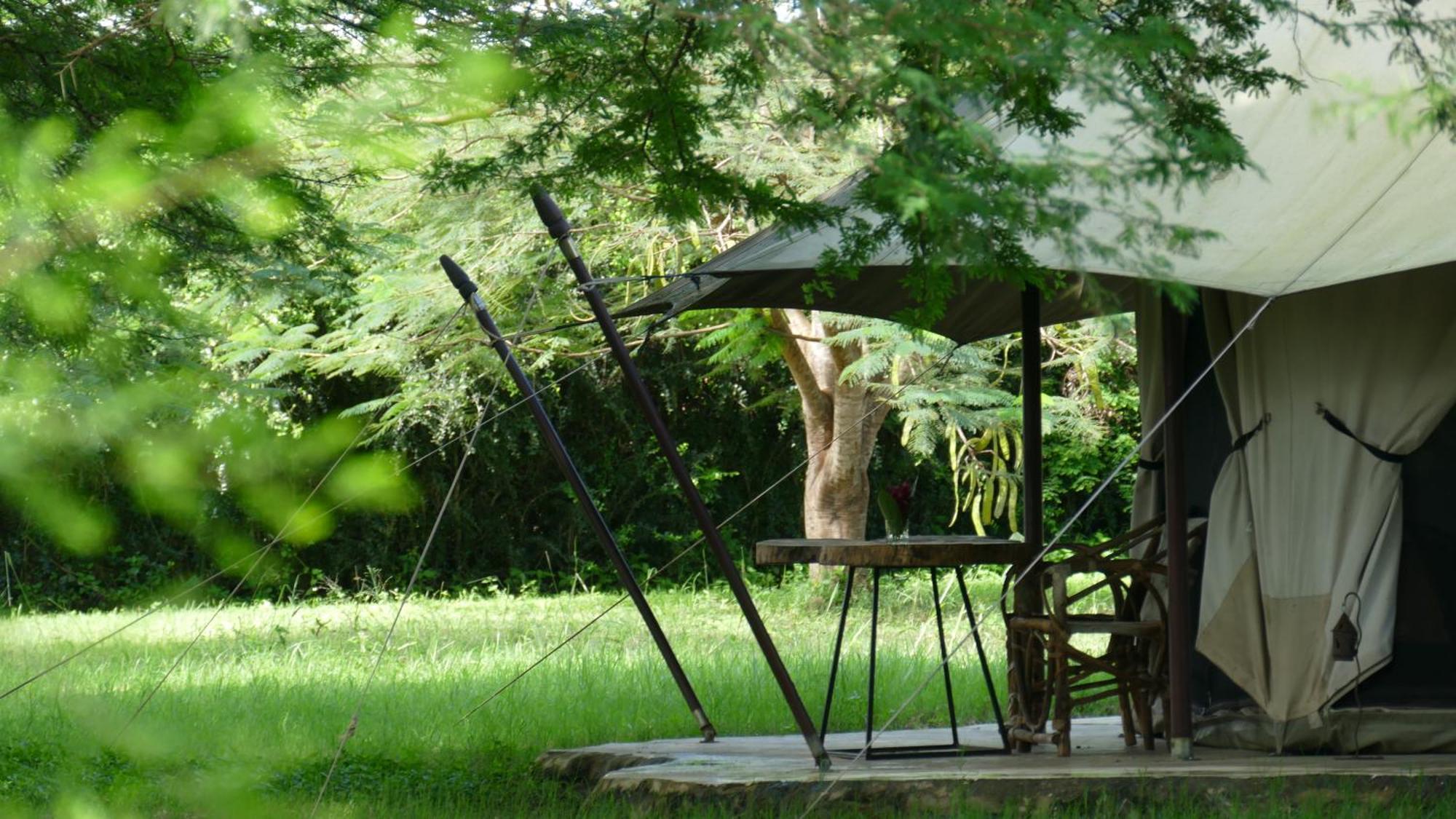 Dolly Farm & River Camp, Luxury Tents Usa River Ngoại thất bức ảnh