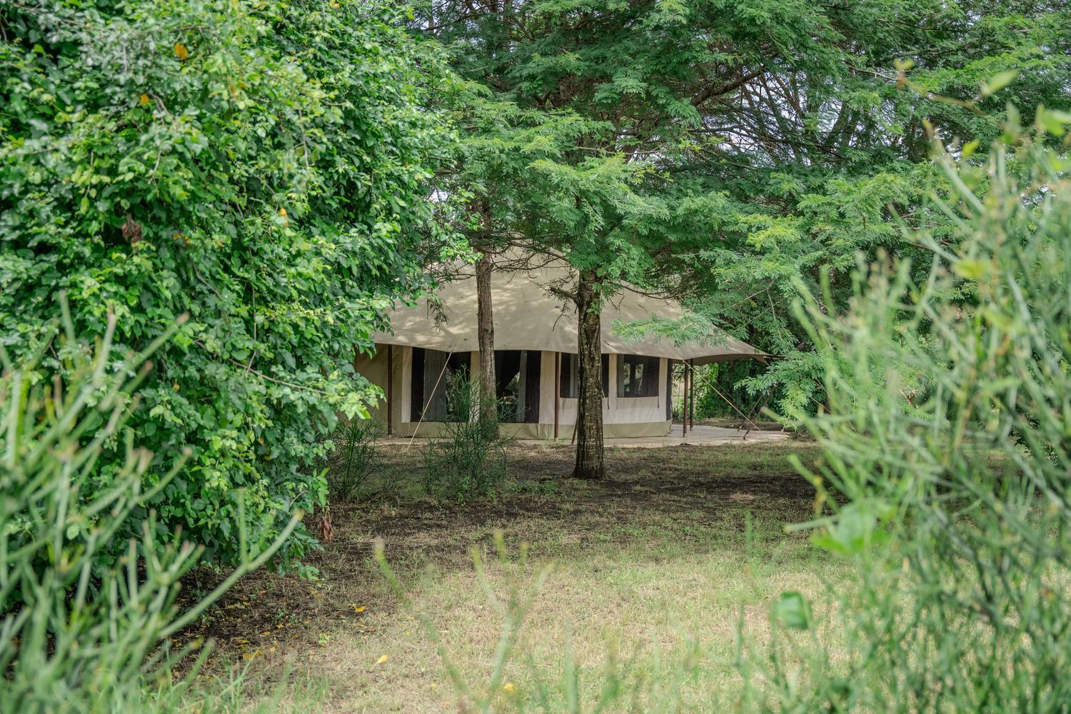 Dolly Farm & River Camp, Luxury Tents Usa River Ngoại thất bức ảnh
