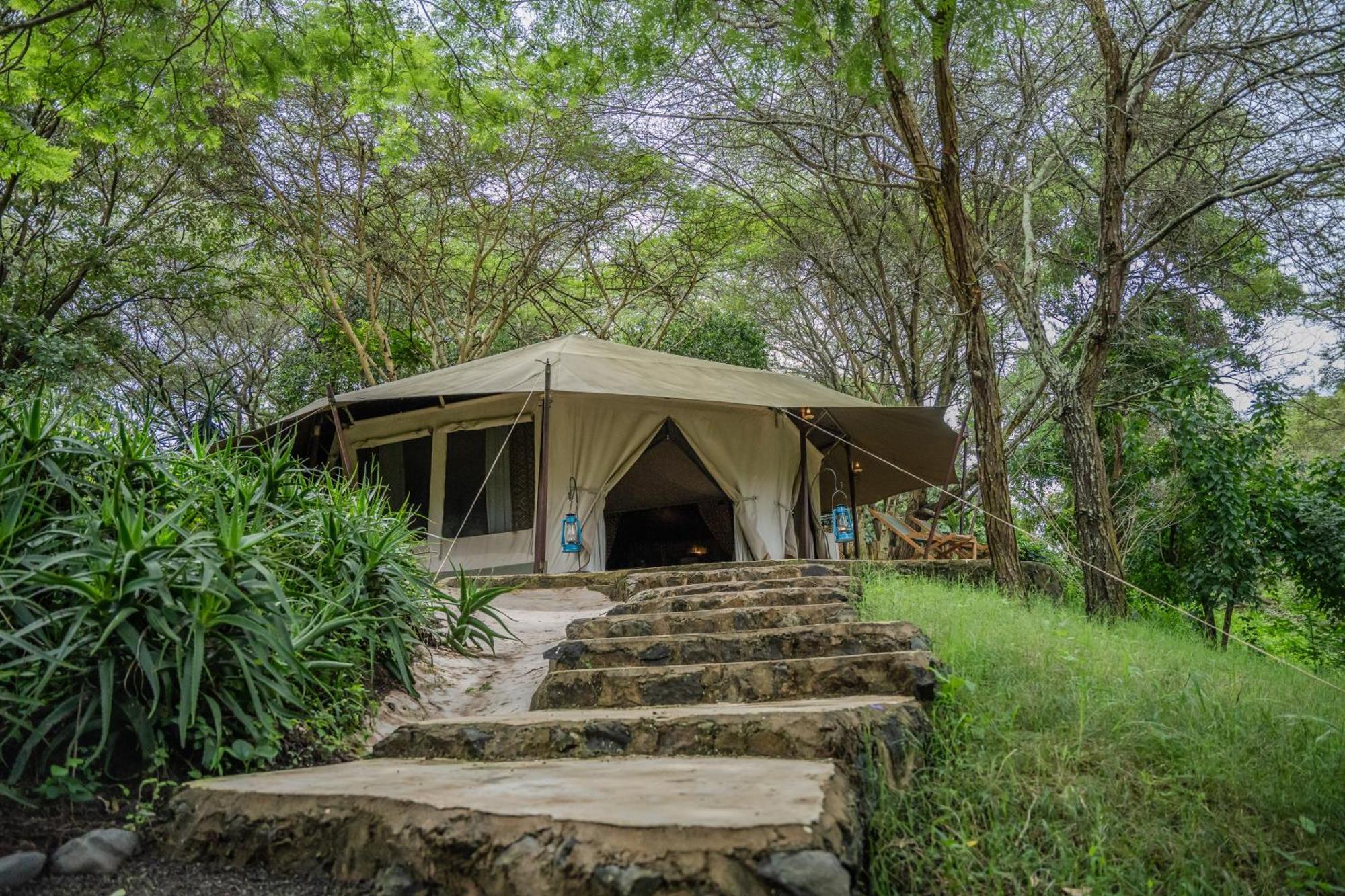 Dolly Farm & River Camp, Luxury Tents Usa River Ngoại thất bức ảnh