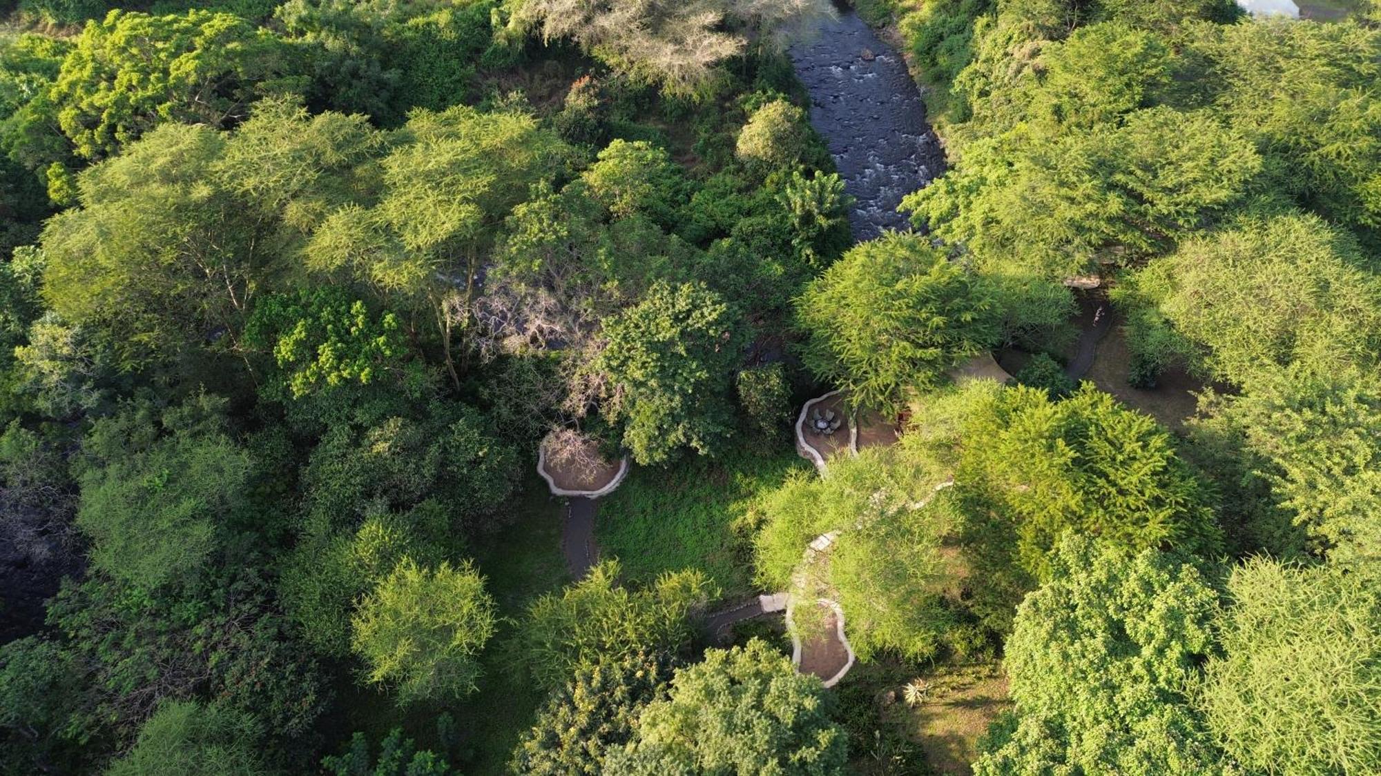 Dolly Farm & River Camp, Luxury Tents Usa River Ngoại thất bức ảnh